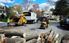 Best Seasonal Cleanup  in Lake Forest Park, WA